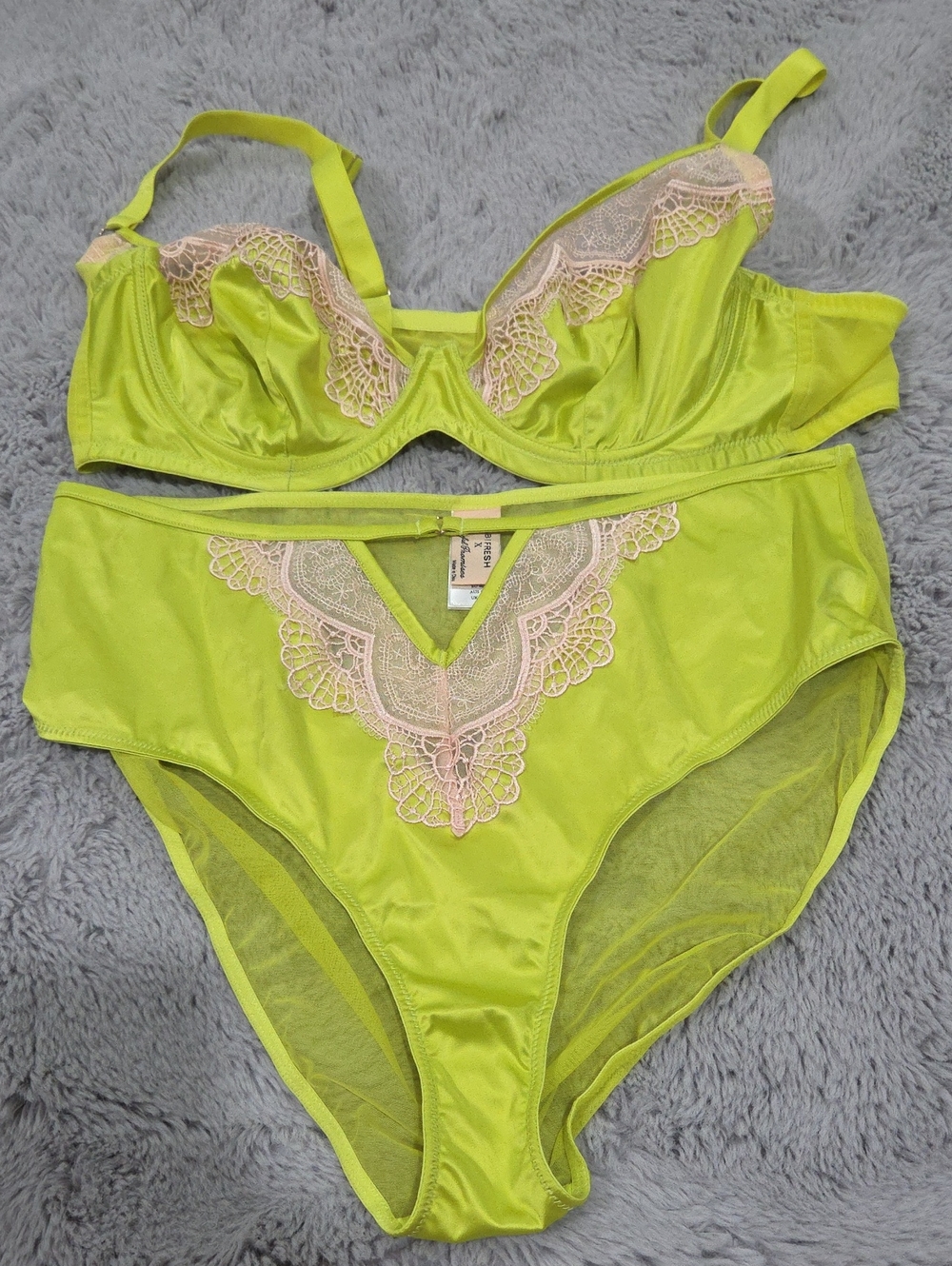 Gabi Fresh X Playful Promises Satin Bra 42D & High-Waist Brief Size 14 Set